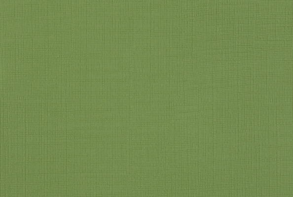 Linen Fern